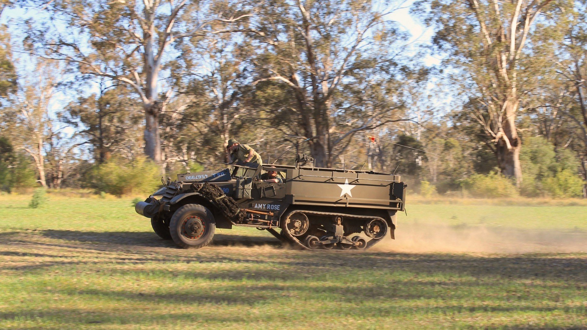 浴火凤凰,陈雨菲一剑封喉背后的团队逆袭史诗