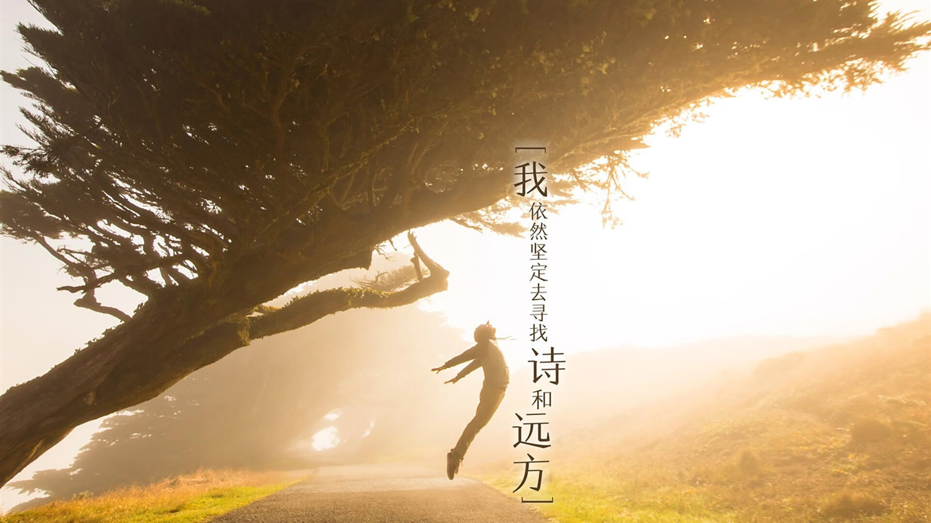 团队制胜与个人闪耀，日本队横扫泰国，辛杜上演统治级表现