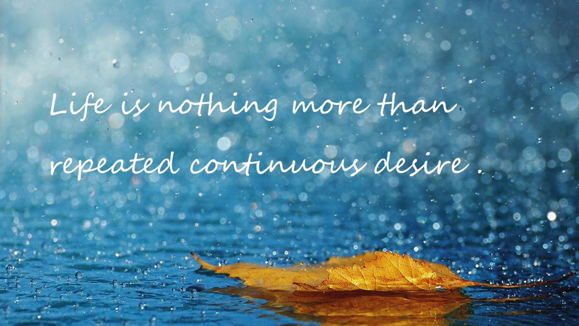 爱游戏APP-同一夜，篮球世界的奇妙共振