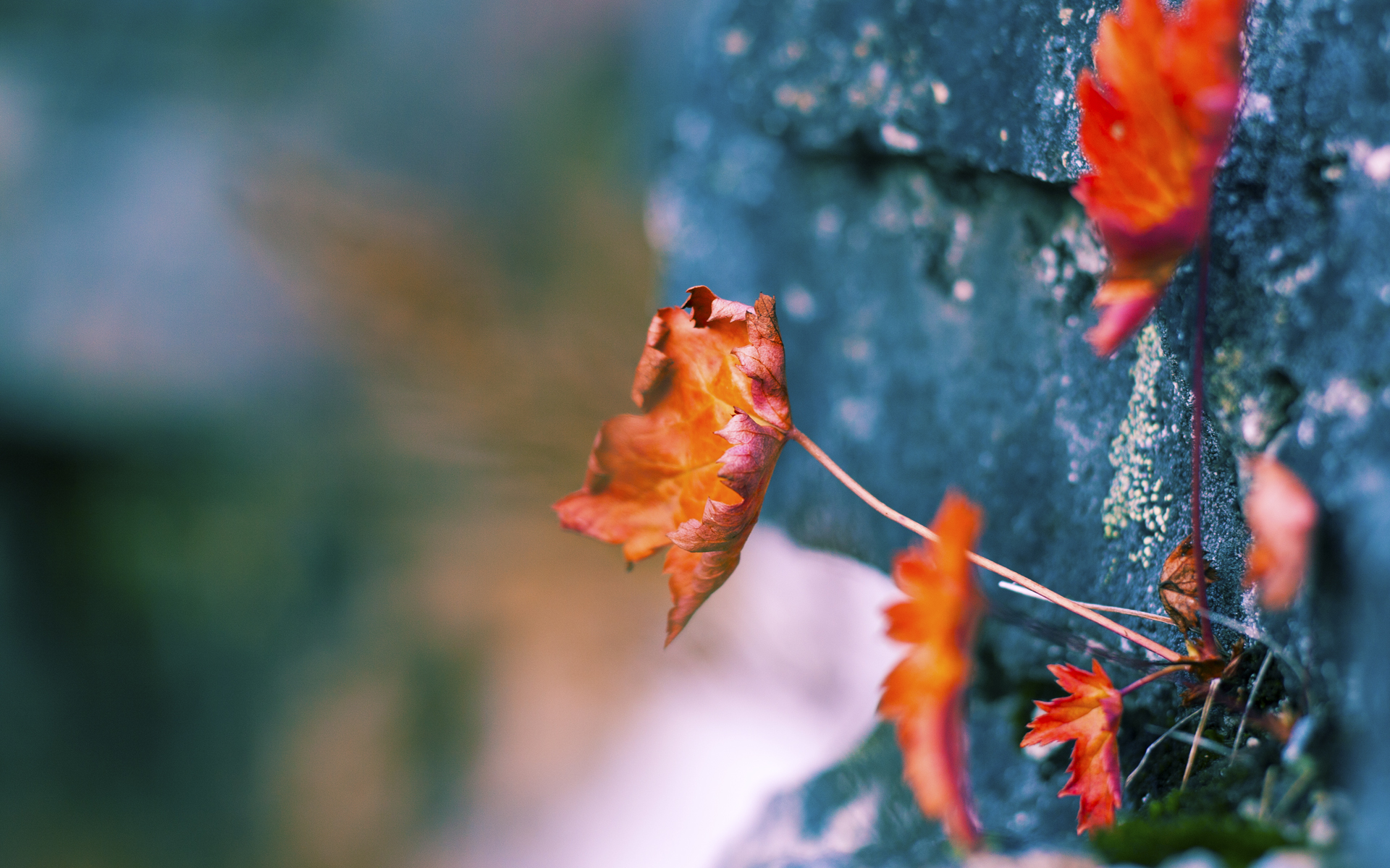 那一夜,他踏着奥林匹亚的星光而来—记奥运周期关键战,基米希进攻端的不朽演绎