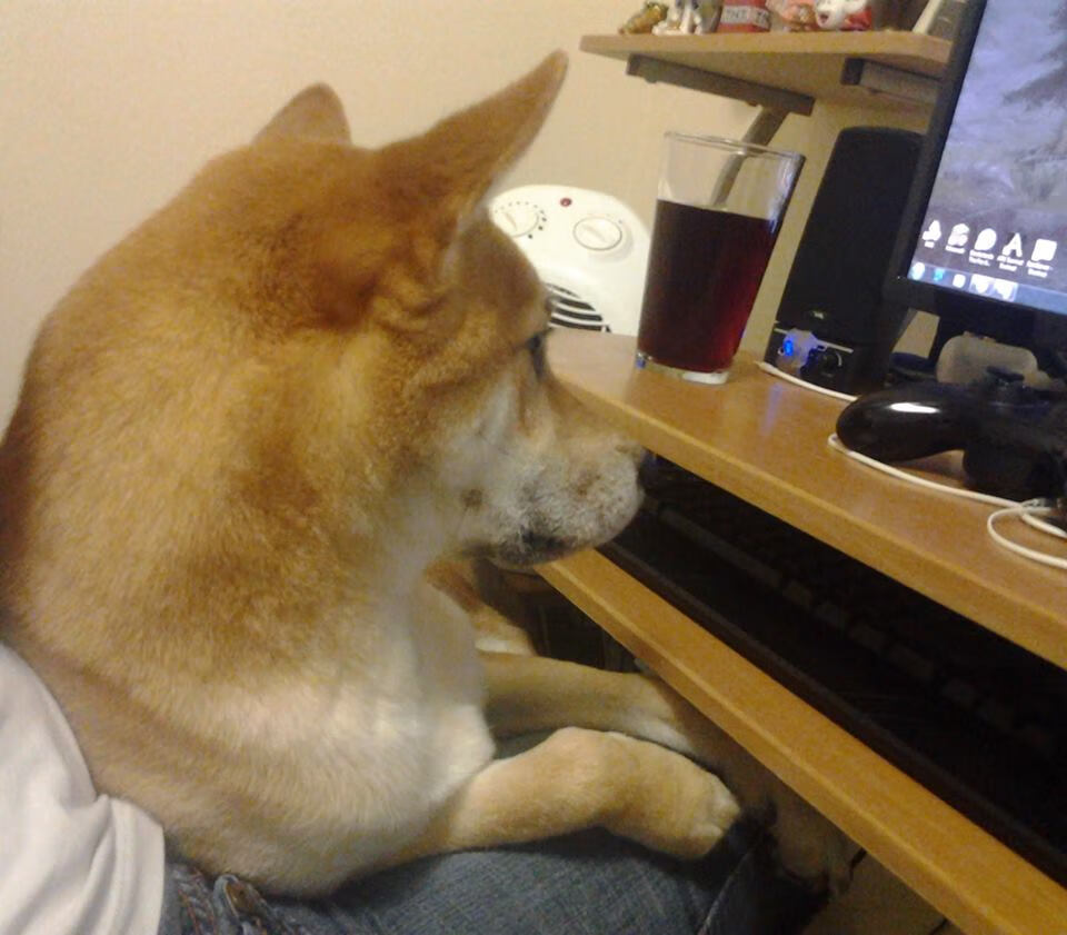 绿茵交响诗,佩德里的节奏齿轮与马赛的殖民火力