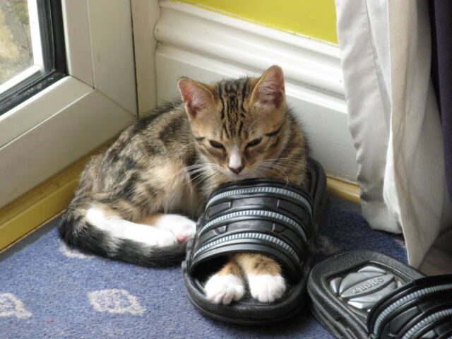 爱游戏APP-唯一性的对决，班凯罗存在感拉满，独行侠战术压制雷霆