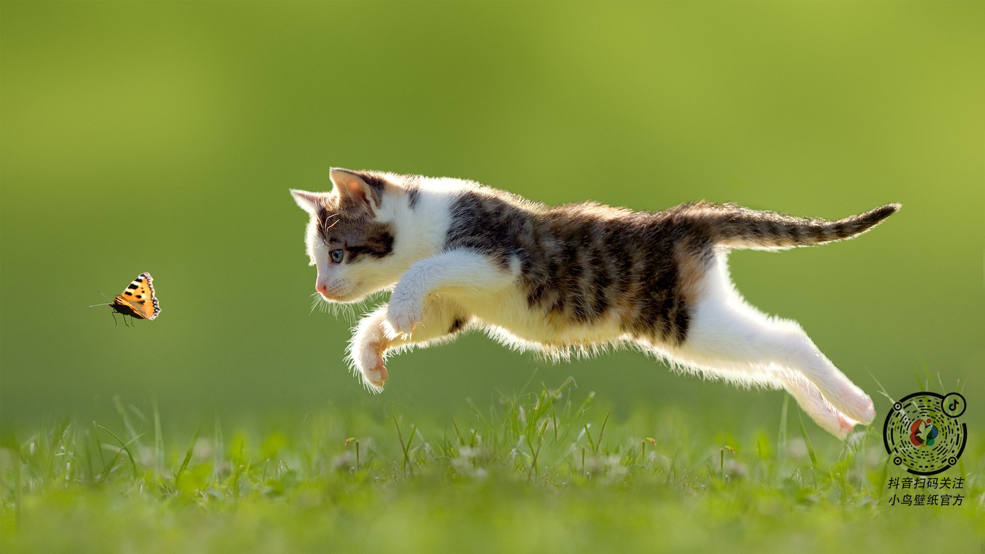 爵士对阵热火，杰伦·格林如何以节奏之王姿态统领全局