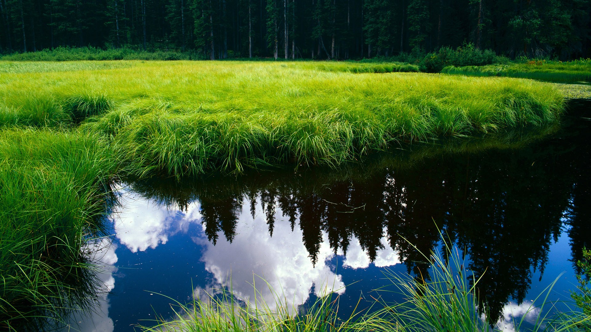 爱游戏官方入口-哈利伯顿爆发与辽宁队战术压制，当个人英雄主义遇到精密机器，篮球智慧跨越海洋共鸣