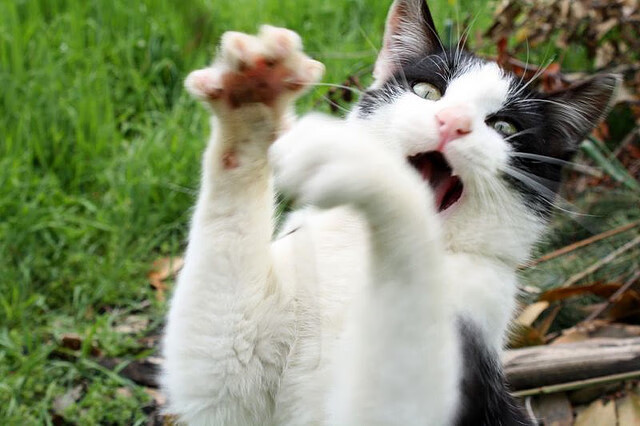 爱游戏下载-扫荡！费城风暴席卷天山—一场改写历史定义的年度焦点之战