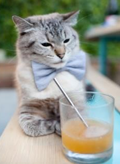 末节风暴！76人一剑封喉，拉文稳定输出铸就胜局