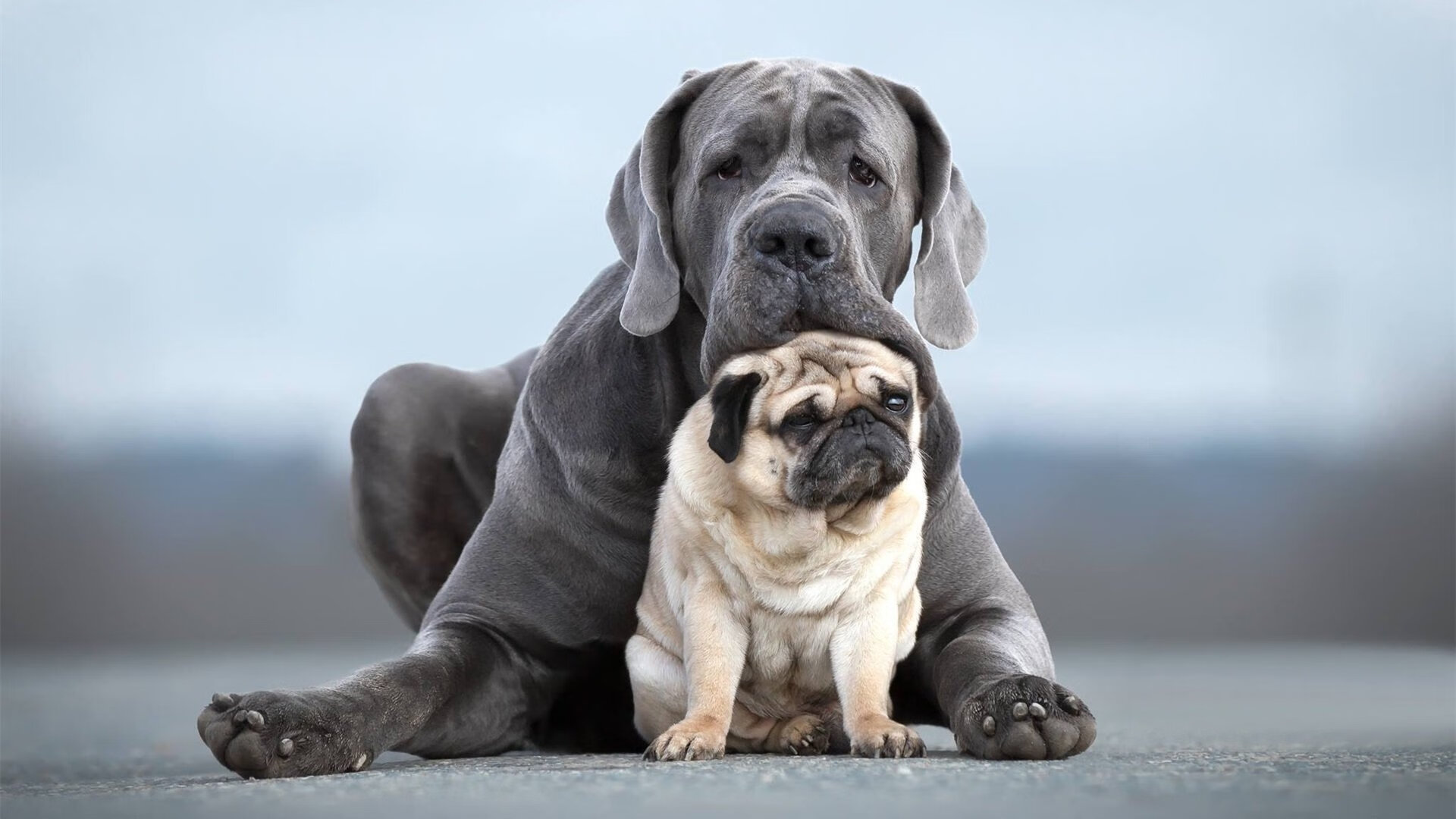 贝林厄姆时刻，当多特蒙德的心脏，跳动在塞内加尔与比利亚雷亚尔的边界上