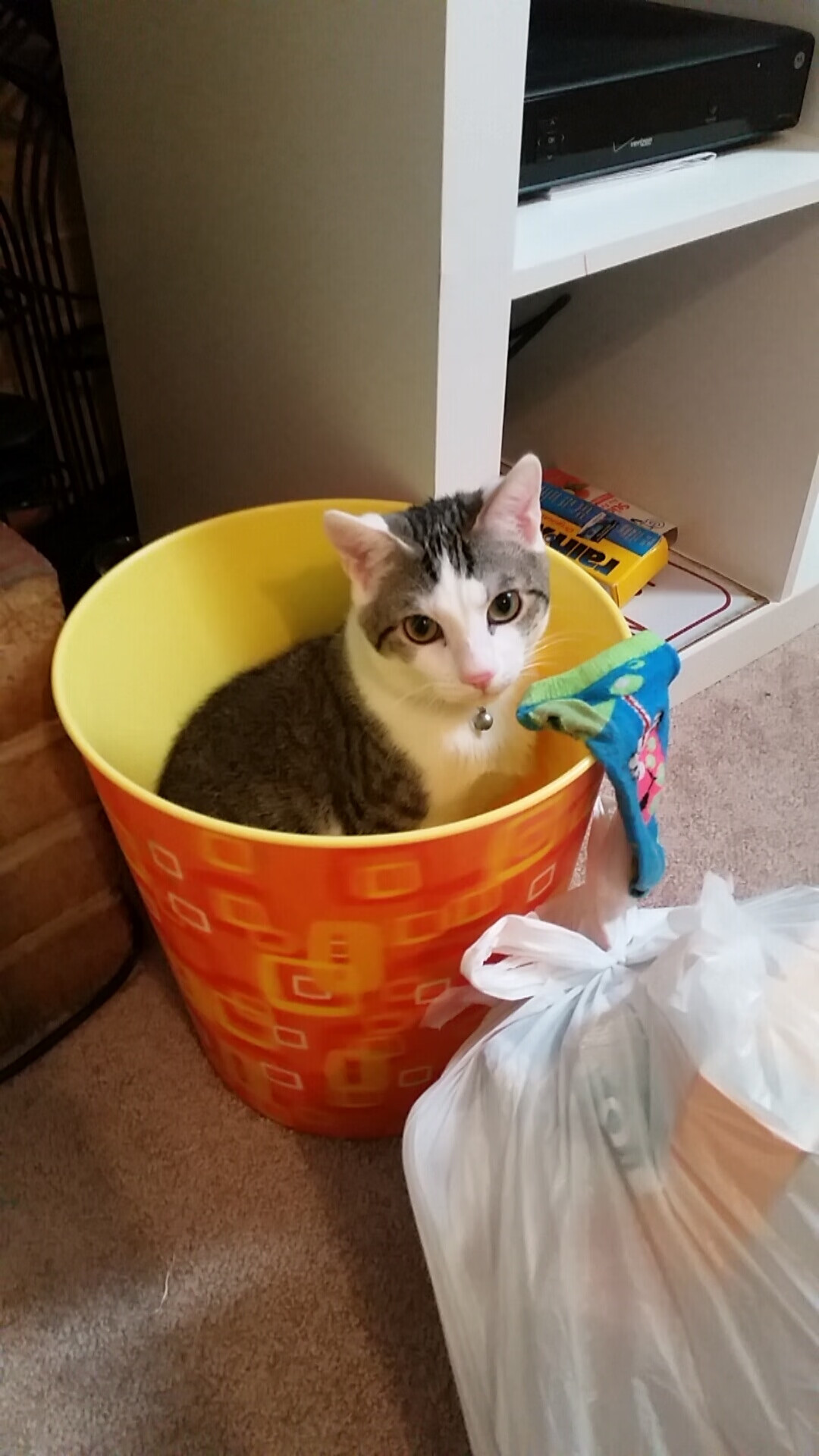 爱游戏官网-马赛港的警报与球场的心跳，当洪都拉斯封锁线遇上阿劳霍的决胜时刻