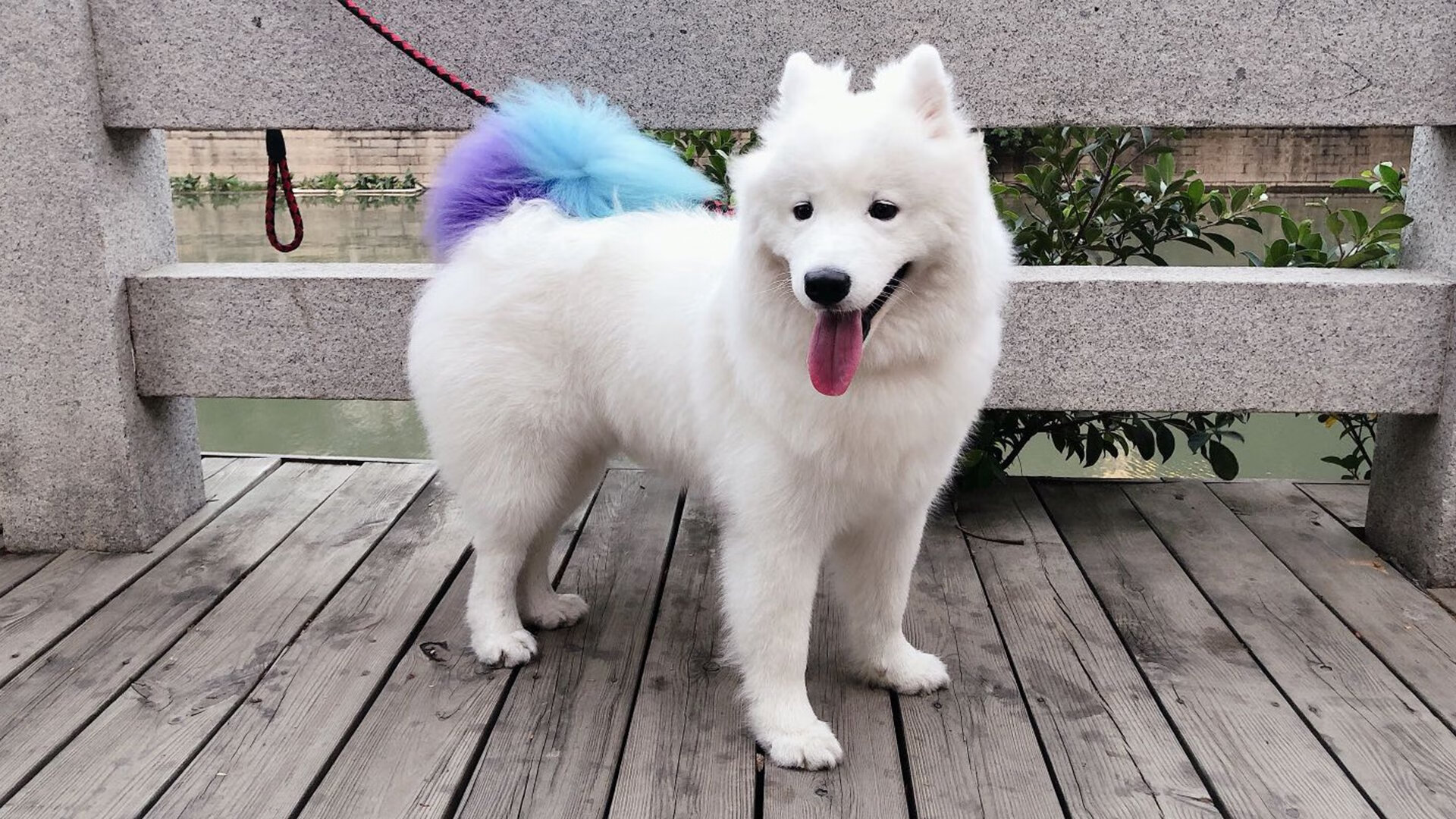 世界排名争夺战之夜，沉默的人撕裂了沉默