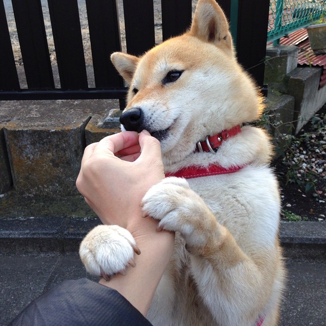 浙江队全场压制乔治定海神针，关键战不手软率队大胜山西
